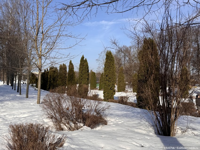 Весна в Твери — Авторские куклы BJD (БЖД) у нас дома: фото