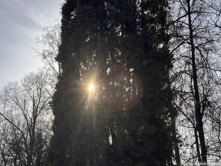 Весна в Твери — Авторские куклы BJD (БЖД) у нас дома: фото