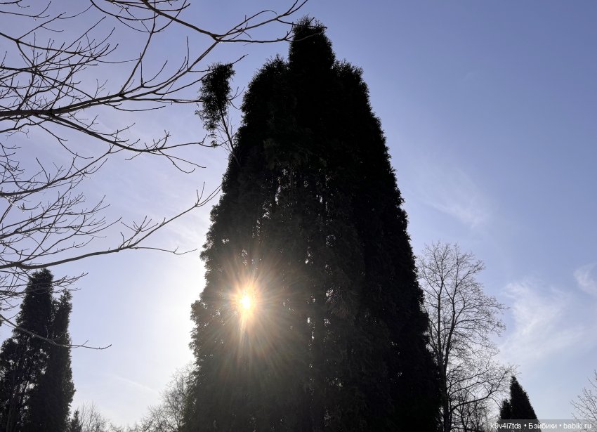 Весна в Твери — Авторские куклы BJD (БЖД) у нас дома: фото