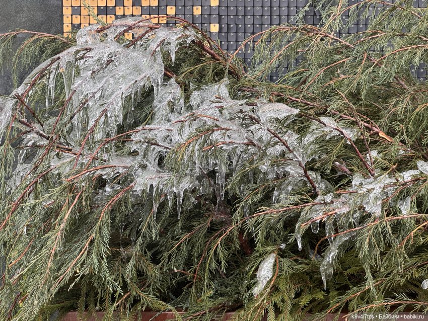 Весна в Твери — Авторские куклы BJD (БЖД) у нас дома: фото