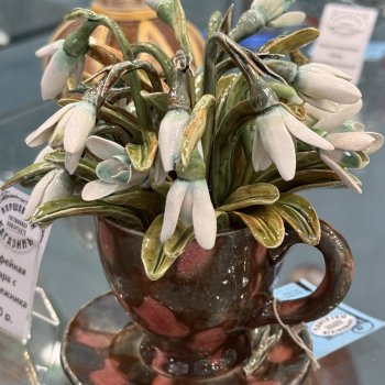 Хрупкая красота