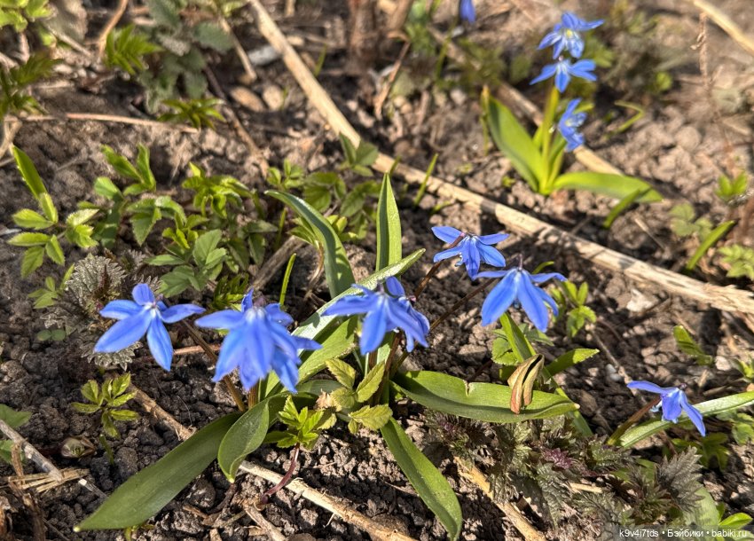 Мартовская прогулка Элен и Мишель | Бэйбики Мартовская прогулка Элен и Мишель