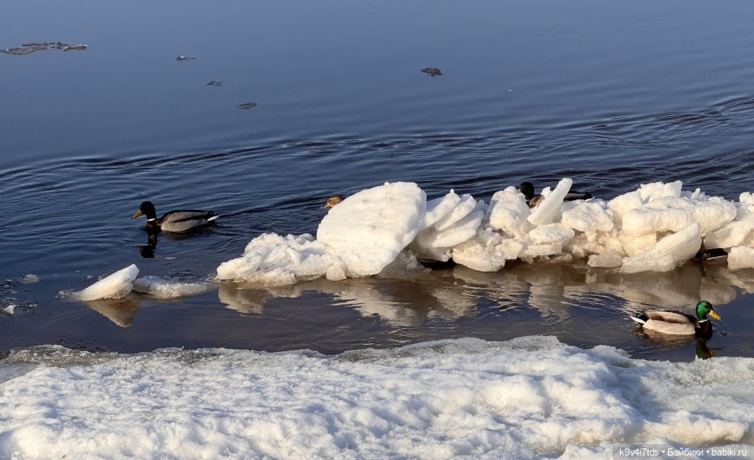 Мартовская прогулка Элен и Мишель | Бэйбики Мартовская прогулка Элен и Мишель