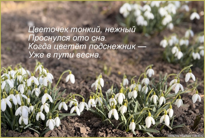 Мартовская прогулка Элен и Мишель | Бэйбики Мартовская прогулка Элен и Мишель