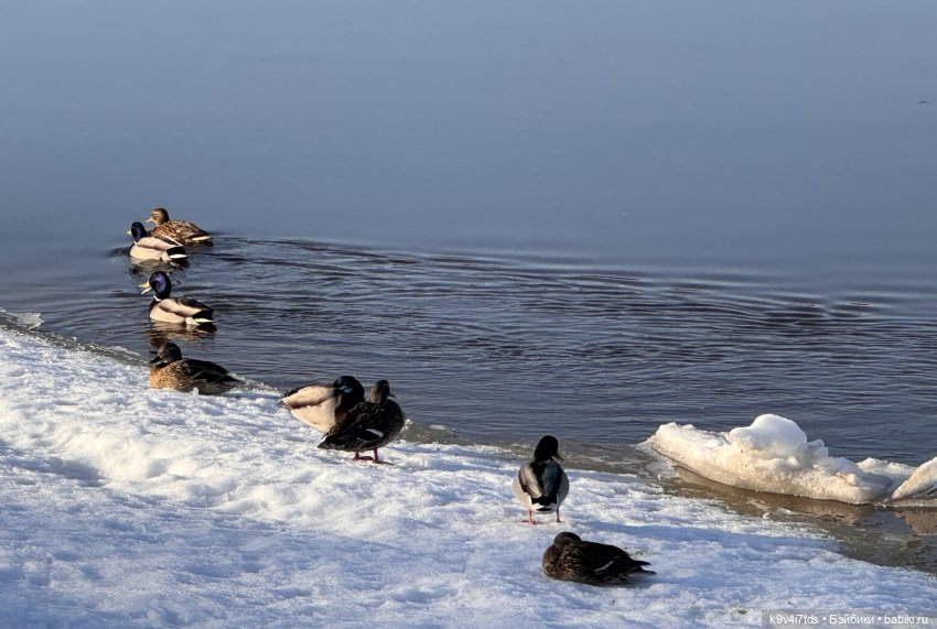 Мартовская прогулка Элен и Мишель | Бэйбики Мартовская прогулка Элен и Мишель