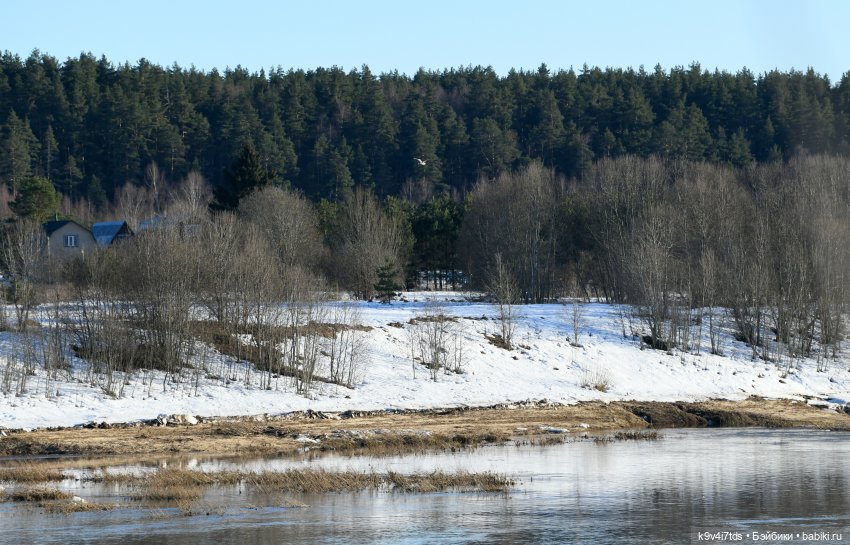 На высоком берегу Волги | Бэйбики На высоком берегу Волги — Винтажные куклы ГДР (Немки): Бигги (фото 3)