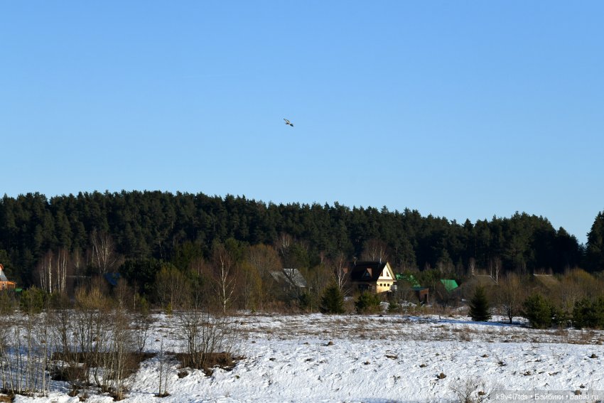 На высоком берегу Волги | Бэйбики На высоком берегу Волги — Винтажные куклы ГДР (Немки): Бигги (фото 8)