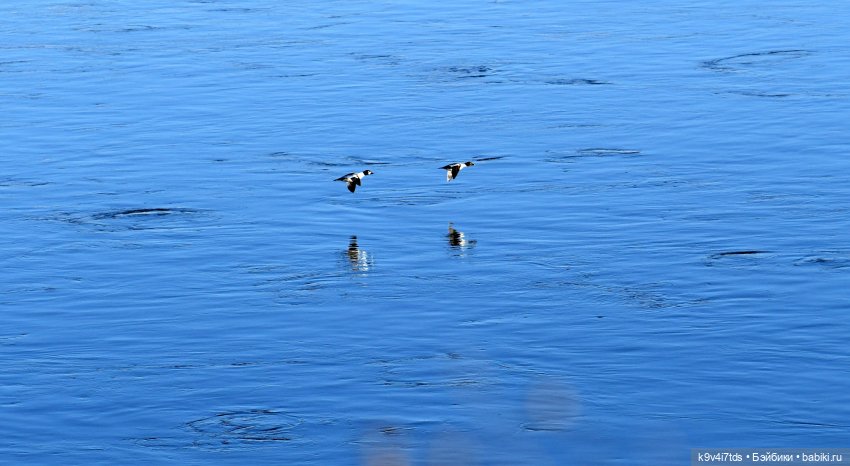 На высоком берегу Волги | Бэйбики На высоком берегу Волги — Винтажные куклы ГДР (Немки): Бигги (фото 4)
