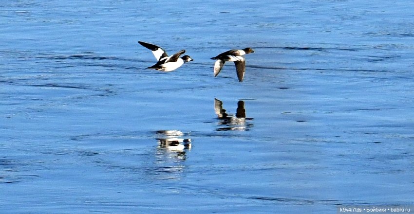 На высоком берегу Волги | Бэйбики На высоком берегу Волги — Винтажные куклы ГДР (Немки): Бигги (фото 5)