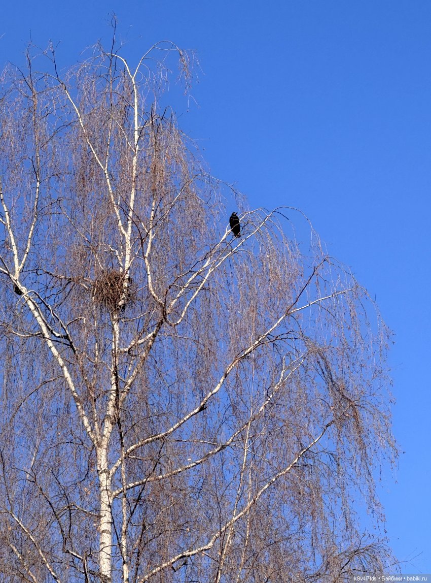 Сильвия встречает Весну — Куклы Sylvia Natterer (Сильвия Наттерер): Gotz