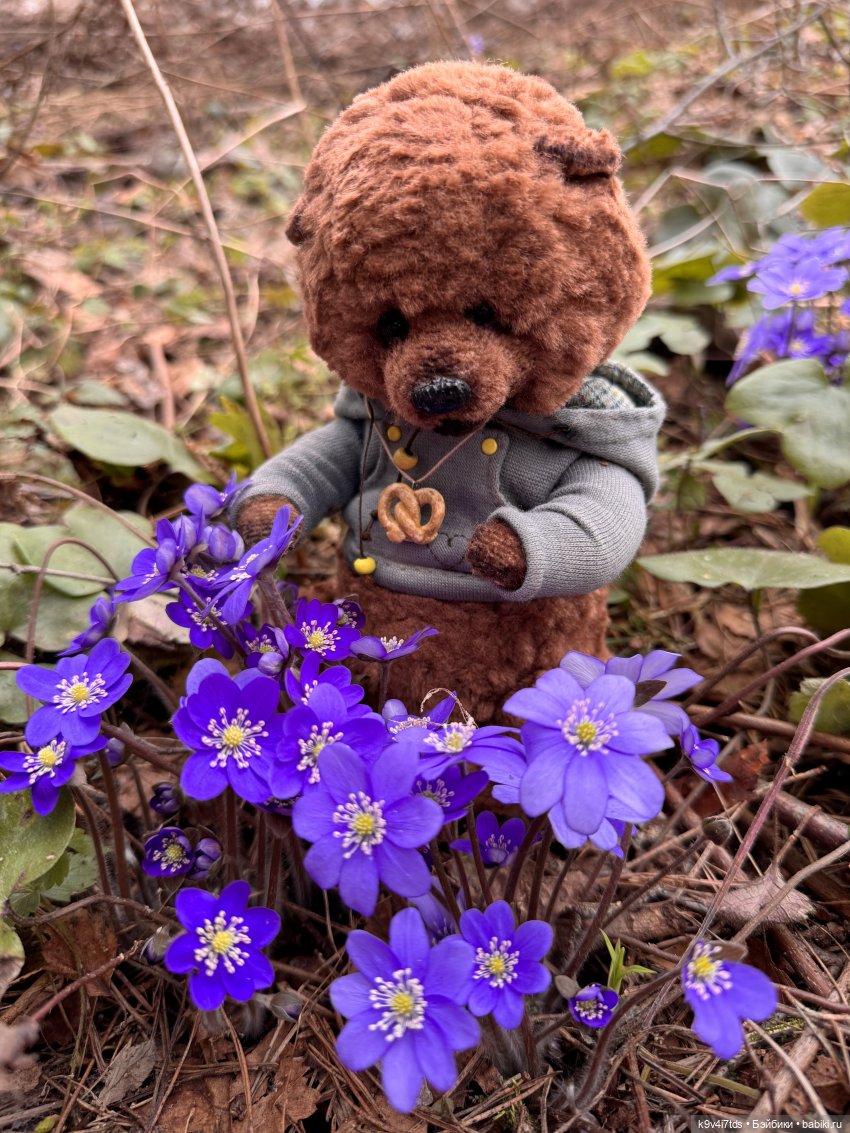 Джой-Пиппа и её друзья встречают цветущую Весну