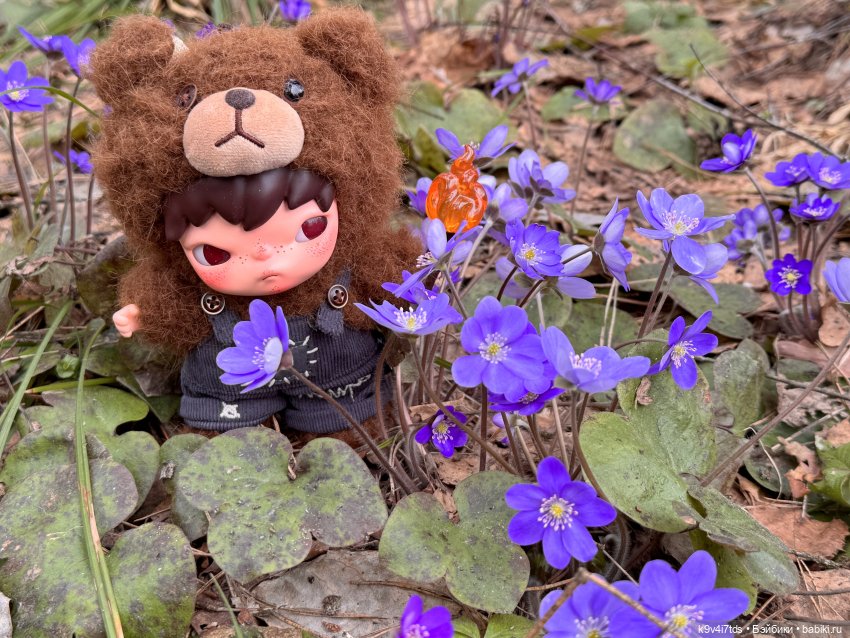 Джой-Пиппа и её друзья встречают цветущую Весну