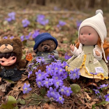 Джой-Пиппа и её друзья встречают цветущую Весну