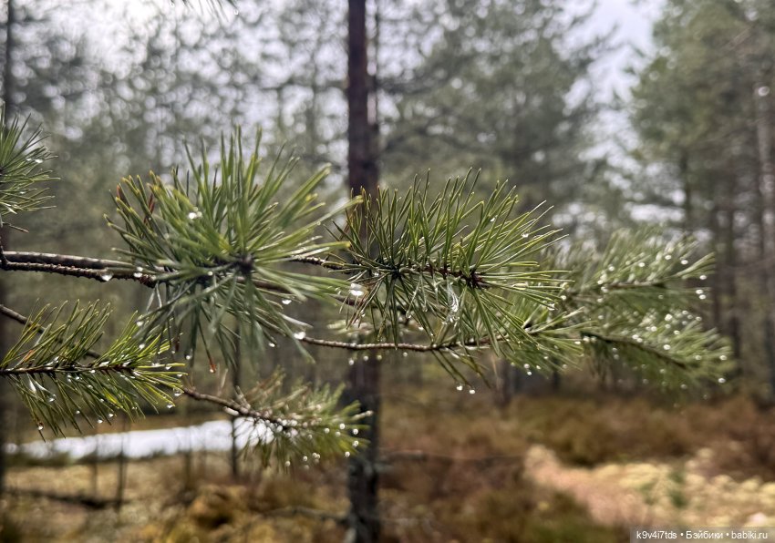 Путешествие Лягушонка — Игровые мини