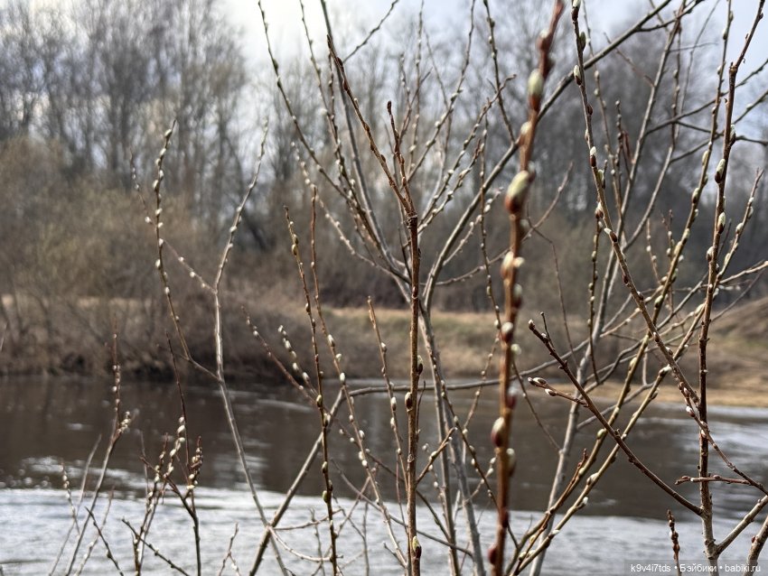 На Тьме — Фигурки Pop Mart (Поп Март): Blind Box (фото 7)