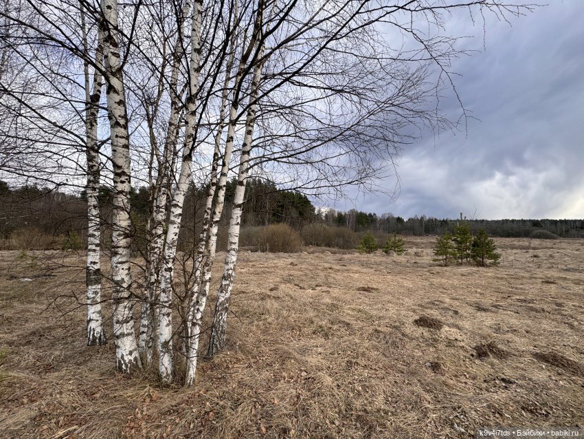 На Тьме — Фигурки Pop Mart (Поп Март): Blind Box