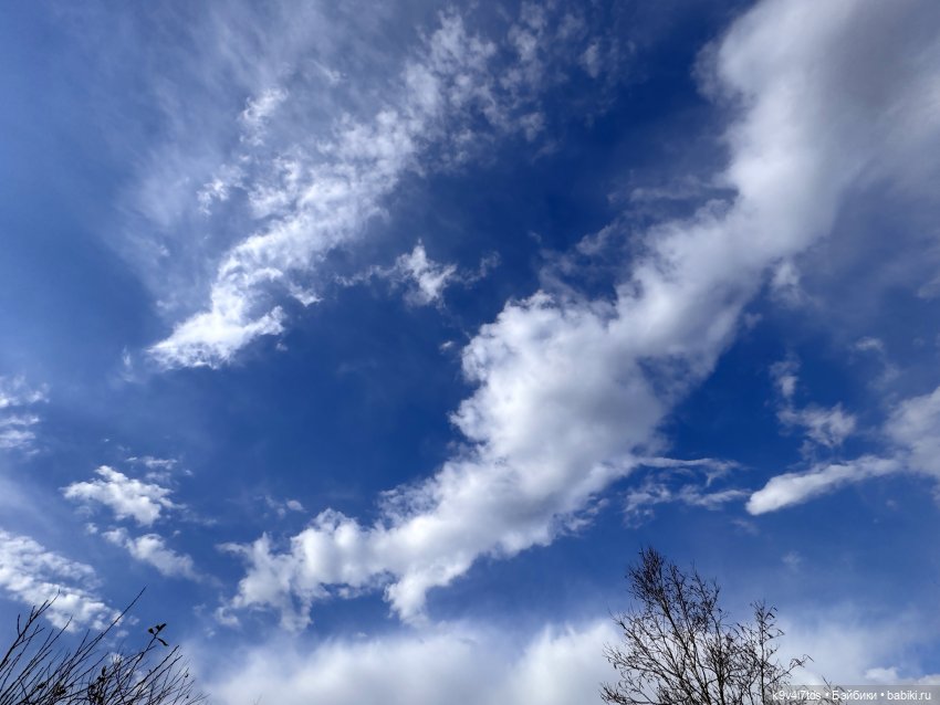 На Тьме — Фигурки Pop Mart (Поп Март): Blind Box