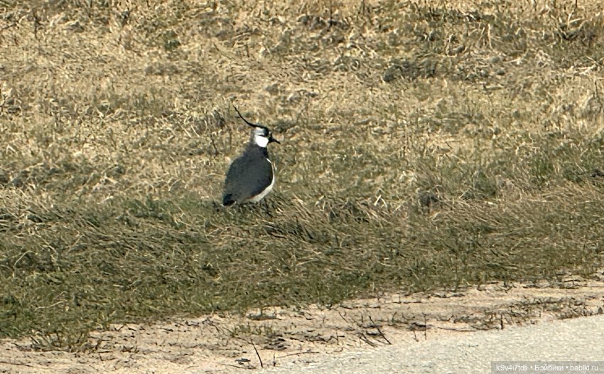 На Тьме — Фигурки Pop Mart (Поп Март): Blind Box