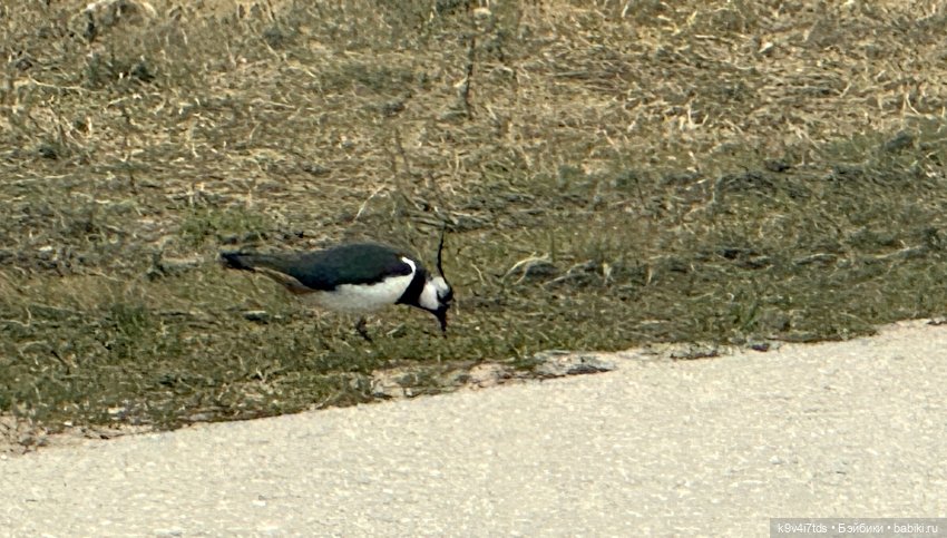 На Тьме — Фигурки Pop Mart (Поп Март): Blind Box (фото 2)