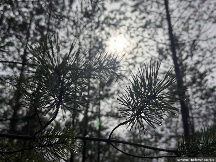 Путешествие Лягушонка — Игровые мини