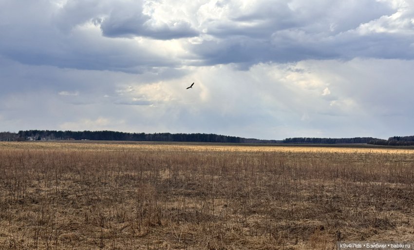 На Тьме — Фигурки Pop Mart (Поп Март): Blind Box (фото 3)