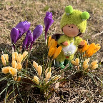 Путешествие Лягушонка