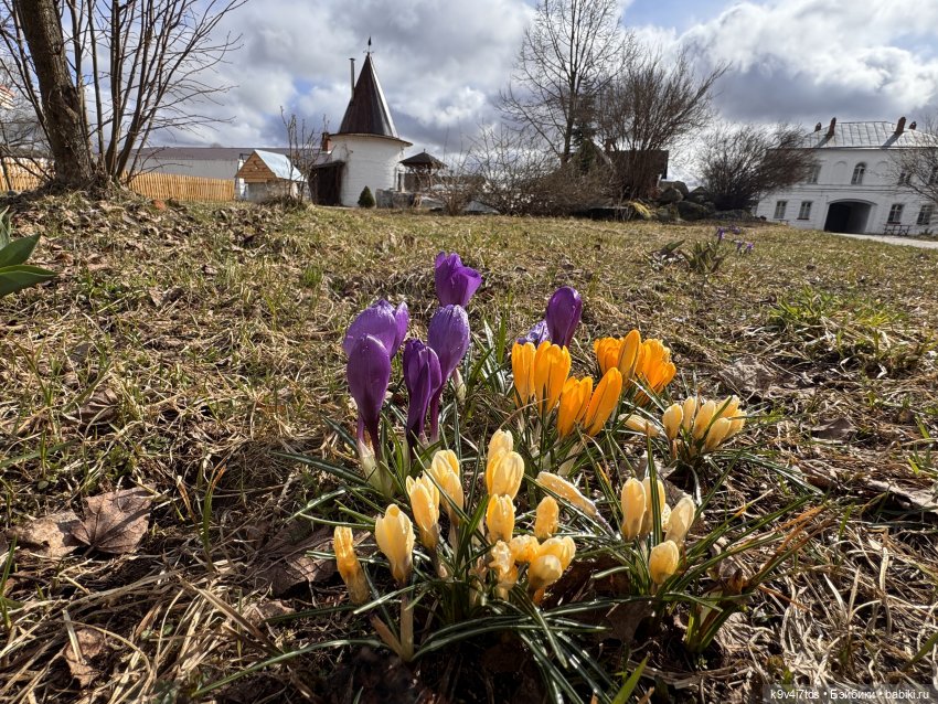 Путешествие Хироно и его друзей на Оршу