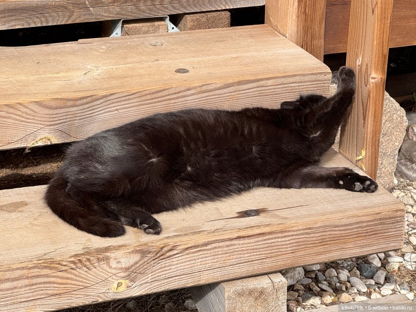 Путешествие Хироно и его друзей на Оршу