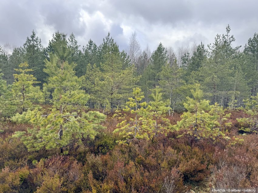 Путешествие Хироно и его друзей на Оршу (фото 7)