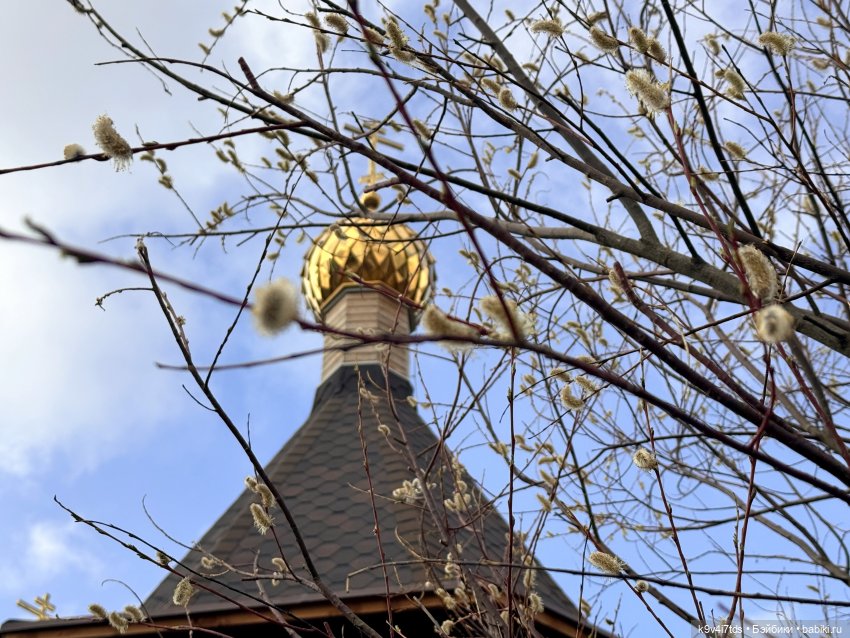 Путешествие Хироно и его друзей на Оршу