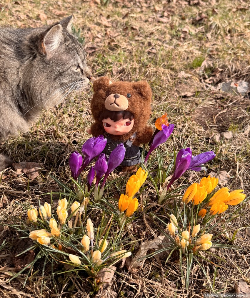 Путешествие Хироно и его друзей на Оршу