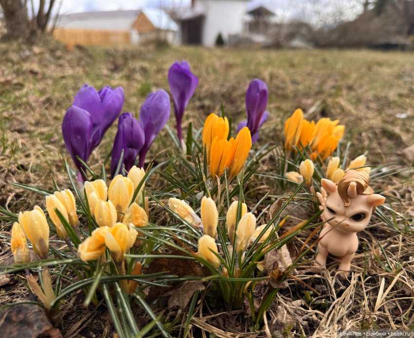 Путешествие Хироно и его друзей на Оршу