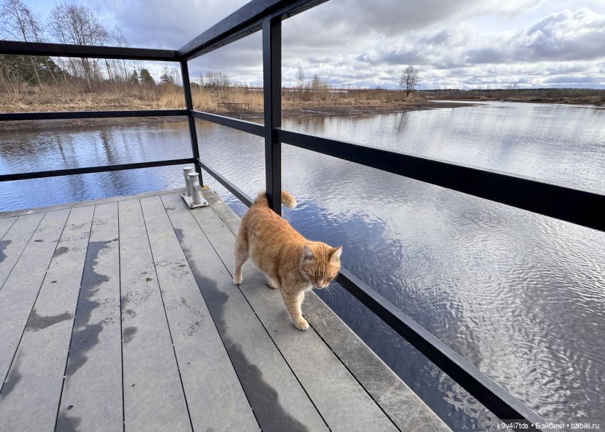 Путешествие Хироно и его друзей на Оршу