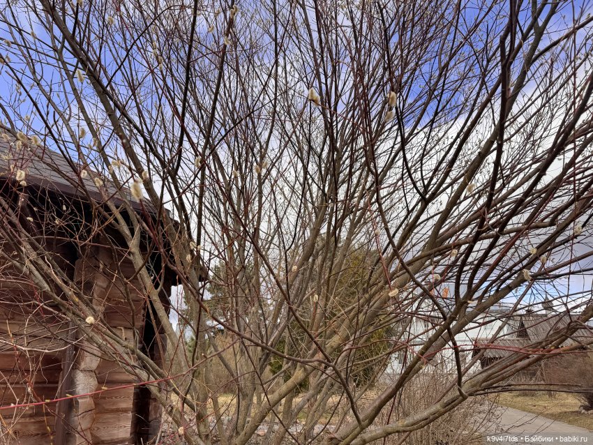 Путешествие Хироно и его друзей на Оршу