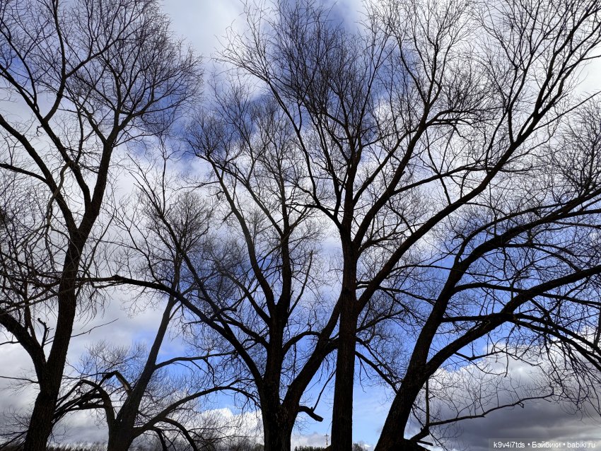 Путешествие Хироно и его друзей на Оршу