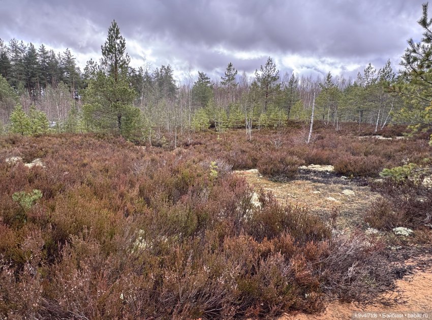 Путешествие Хироно и его друзей на Оршу (фото 6)