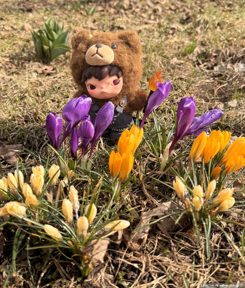 Путешествие Хироно и его друзей на Оршу