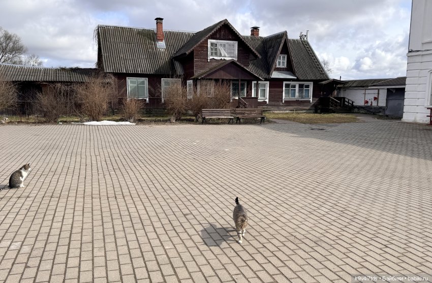 Путешествие Хироно и его друзей на Оршу