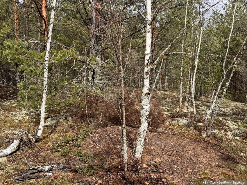 Путешествие Хироно и его друзей на Оршу (фото 9)