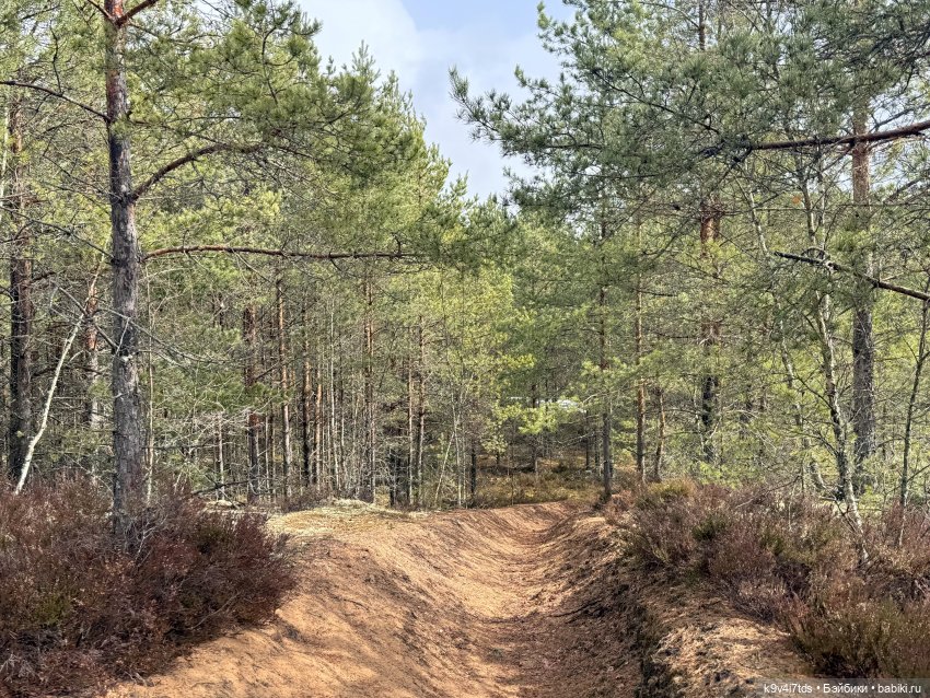 Путешествие Хироно и его друзей на Оршу (фото 8)