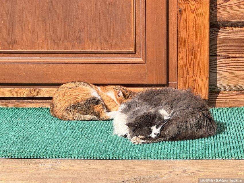 Путешествие Хироно и его друзей на Оршу