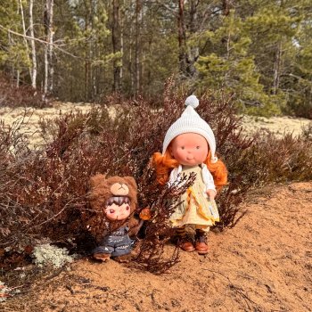 Путешествие Хироно и его друзей на Оршу