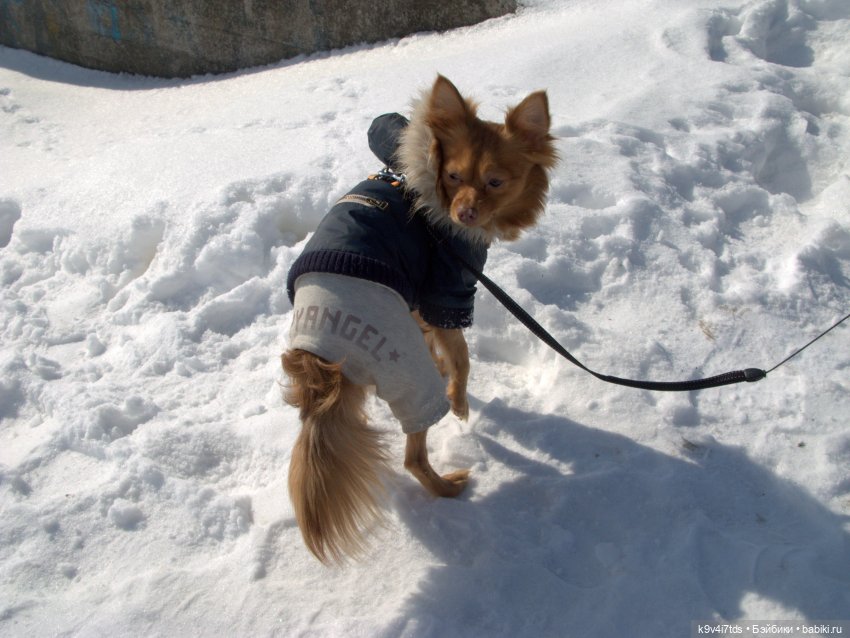 Это было недавно, это было давно