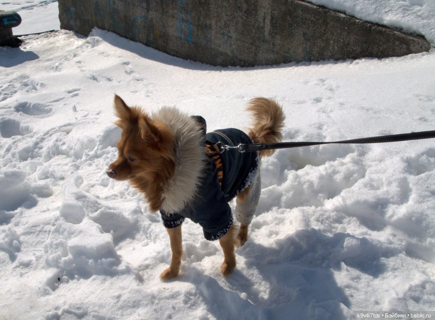 Это было недавно, это было давно