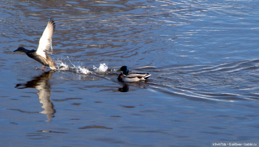 Это было недавно, это было давно (фото 8)