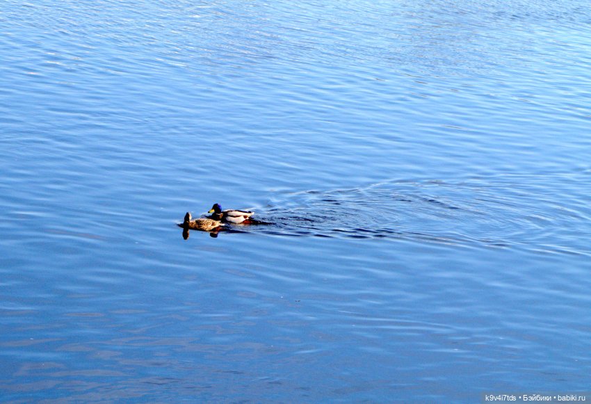 Это было недавно, это было давно (фото 7)