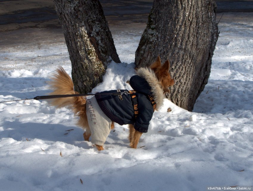Это было недавно, это было давно