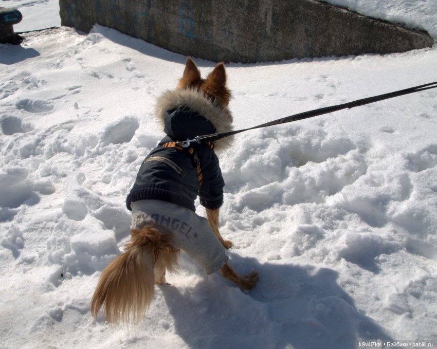 Это было недавно, это было давно