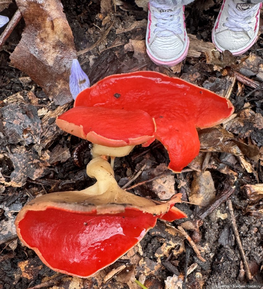 Лоло на природе — Авторские куклы BJD (БЖД) у нас дома: фото