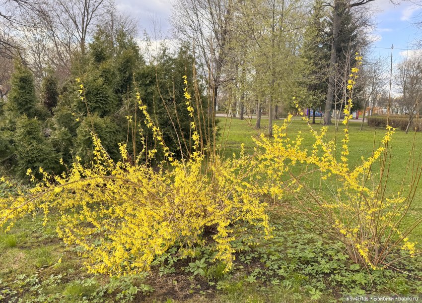 Прогулка Лоло и Мишки — Авторские куклы BJD (БЖД) у нас дома: фото